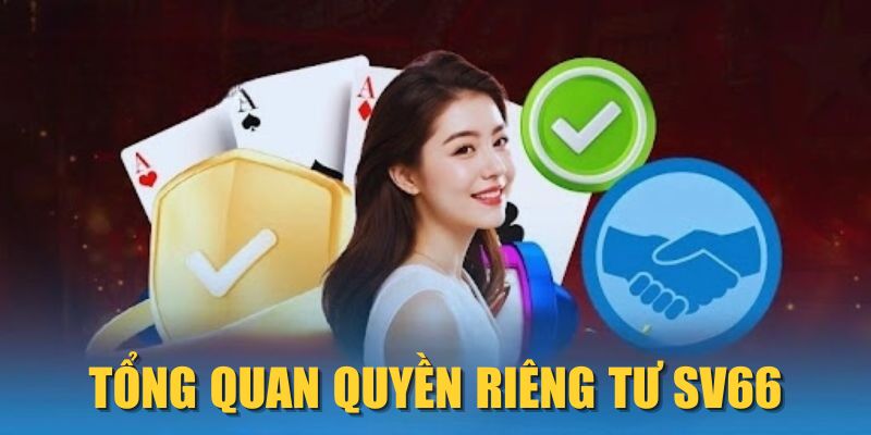 Tổng quan quyền riêng tư SV66